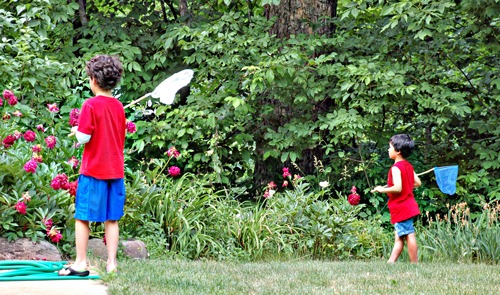 [0612-BUtterfly-Boys%255B3%255D.jpg]