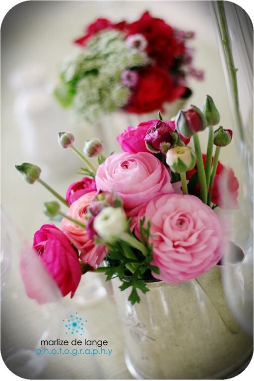 [H%2526R_029%2520a%255B5%255D.jpg]