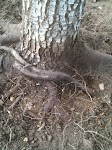 IMG_0823.jpg IMG_0823.jpg