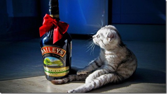 funny-animals-haha-31