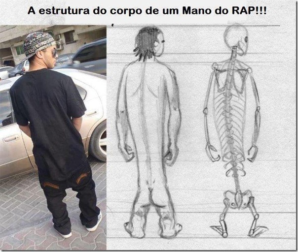 A estrutura do corpo de um mano