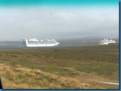 2012-01-28 023 World Cruise January 28 2012 Falkland Island 030