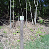 s4031000.jpg s4031000.jpg