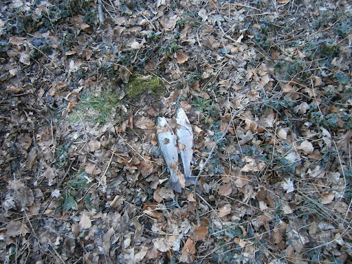 P4010026.JPG