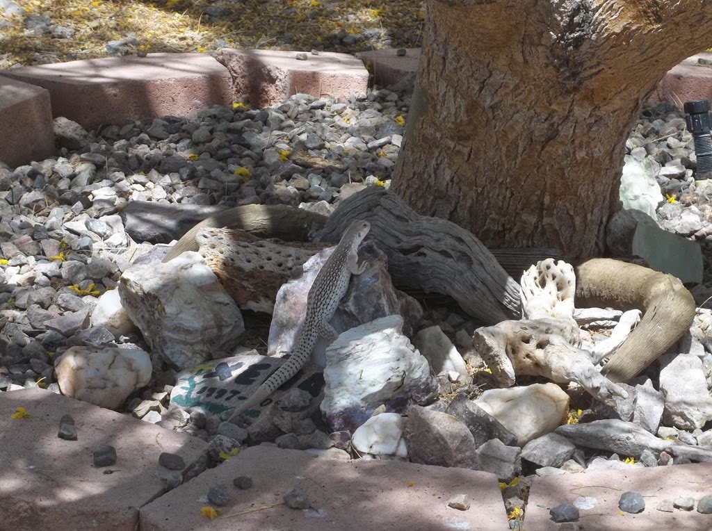 [100_0981%255B5%255D.jpg]