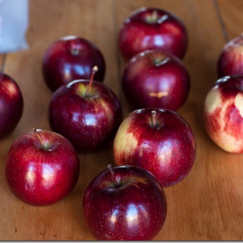 Apple dumplings in peasant purses