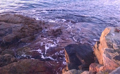 IMAG0213