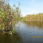 IMG_8034.JPG