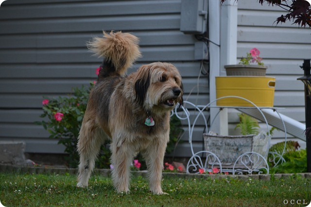 DSC_0840 DSC_0840