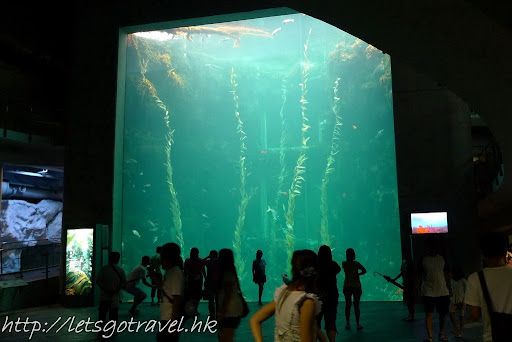 20100827Kaohsiung556.jpg