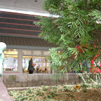DSC04838.JPG