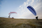Foto: Roy Samuelsen - http://tnett.no/roy/