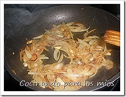 P1120072 P1120072