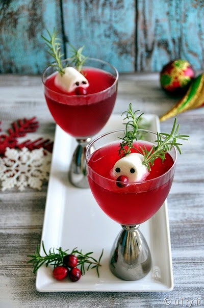 Rudolph’s Cranberry Fizz--A fun Cocktail for the Holidays   http://uTry.it