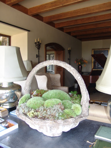 More mini landscapes using some of the many kinds of moss on Skylands property.