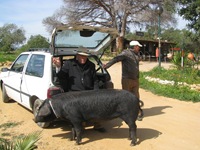 IMG_2697 IMG_2697