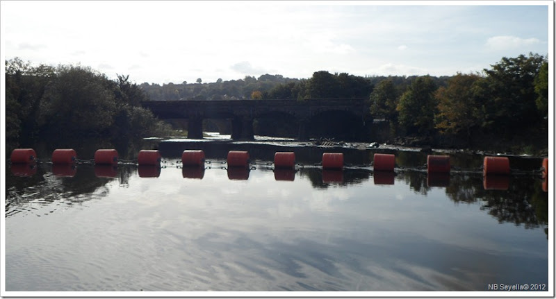 SAM_3767 Weir at Ledgard