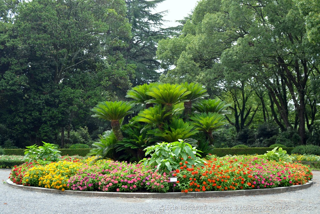 [Gl%25C3%25B3ria%2520Ishizaka%2520-%2520%2520%2520Kyoto%2520Botanical%2520Garden%25202012%2520-%2520141%255B10%255D.jpg]