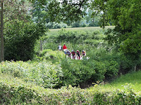 DSCF1473.JPG