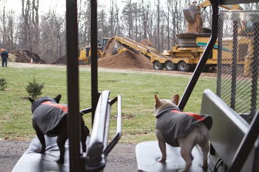 Sharkey, here at the compost area, is another machine we don't want to get too close to. This monster is called a tub grinder. Sharkey, here at the compost area, is another machine we don't want to get too close to. This monster is called a tub grinder.