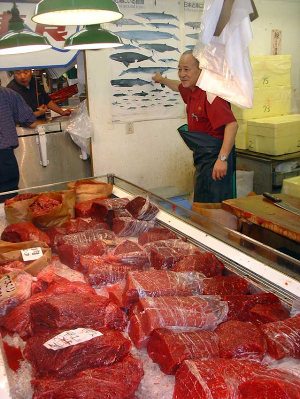 Whale meat on sale in the Whale Meat Shop at Tsukiji Markets, December 2006. stippy.com