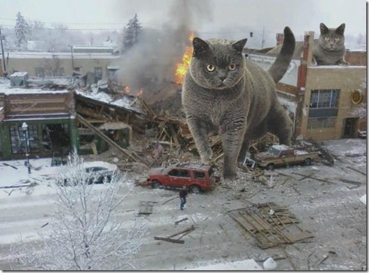 viral-picdump-pics-30