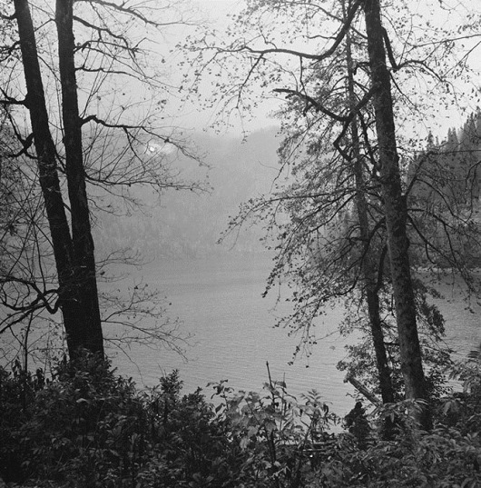clip_image016 clip_image016