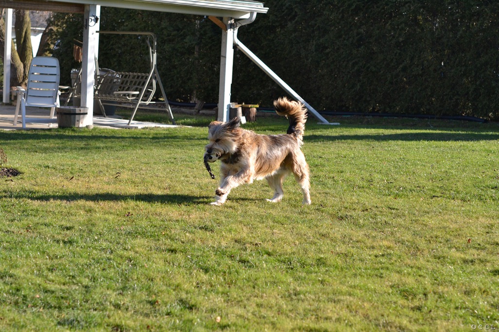 [DSC_2219%255B3%255D.jpg]