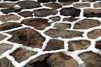 Francesca, look how pretty the stone patio looks!