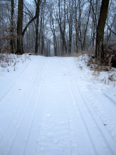 Leaves turned up on the hill but shoveled over, all good.
