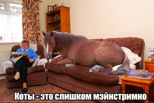 1383263444_1922647998 1383263444_1922647998