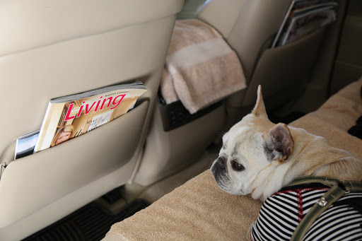 Good, I've got the current issue of Living in case I need some reading material on the ride.