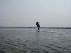 ol100825_02.jpg