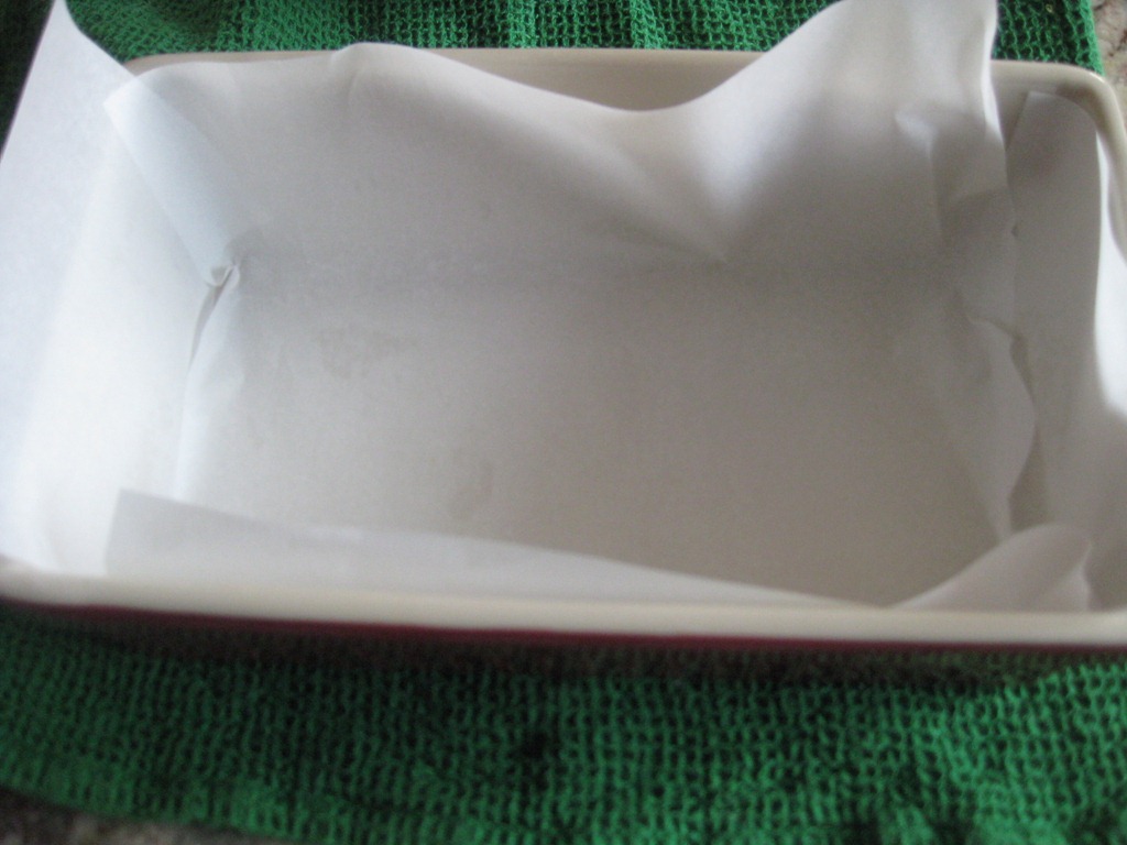 [pan%2520lined%2520parchment%255B3%255D.jpg]