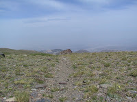 IMG_4962.JPG