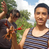 On Saturday, June 16th, a group of volunteers from Austin Involved joined the River Watchers at McKinney Falls State Park for a training on sampling benthic macroinvertebrates. The training was led by Todd Jackson, a scientist with the City of Austin's Watershed Protection Department. Austin Involved volunteers with the River Watchers - 16 June 2012