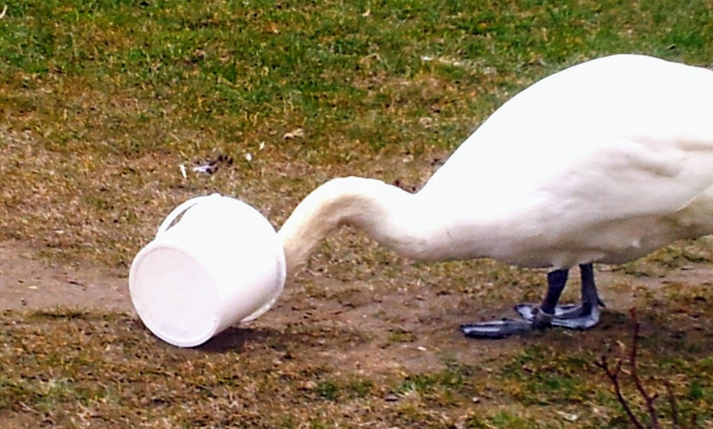 [201_bearbeitet-1%255B5%255D.jpg]