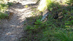 glacier_national_park_-_2009