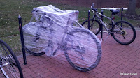 2012-01-26_16-08-54_738.jpg
