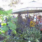 Digital StillCamera