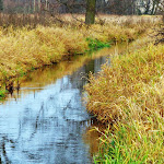 2012_11_25_Niedziela_z_ciekawostka_24.JPG