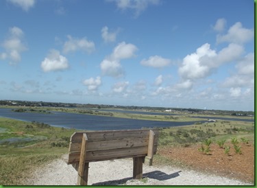 Celery Fields (7)