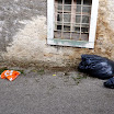 2014-05-Cistilna-akcija-Osek-11.JPG