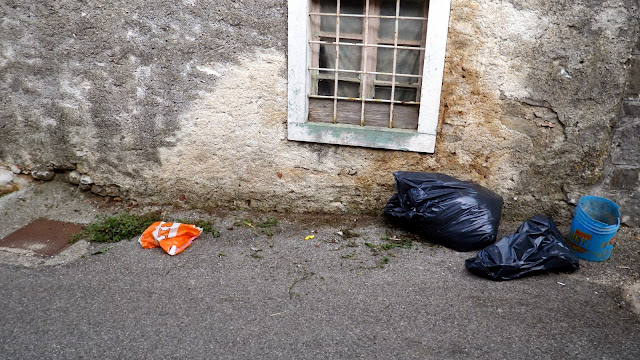 2014-05-Cistilna-akcija-Osek-11.JPG