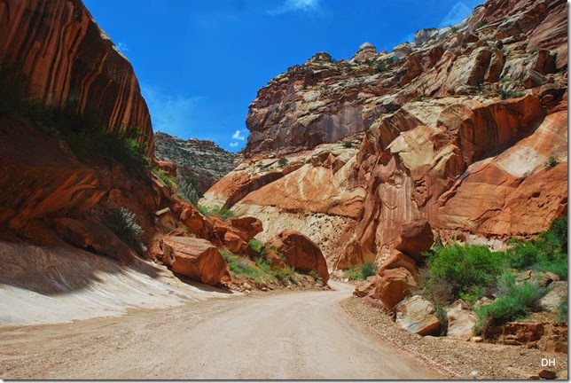 05-22-14 Capital Reef NP (232)