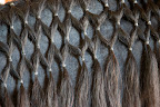 I love what they did with Rutger's mane.  I wonder if French bulldogs can grow hair this long?  I think I could use a new do.
