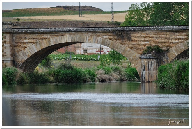 DSC_0854 DSC_0854
