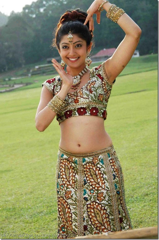 sexy-preneetha-navel-picture