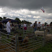 GLAShow 2012 029.jpg
