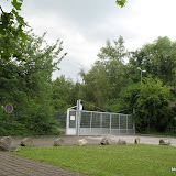 2008 - Boll